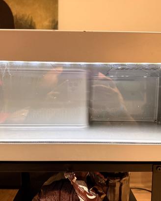 Mini frigo redbull