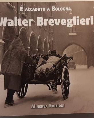 E' accaduto a Bologna