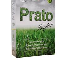 Miscuglio per tappeto erboso 1 kg