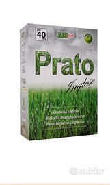 Miscuglio per tappeto erboso 1 kg