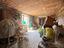 Immagine 26