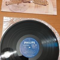 vinile psychedelic  furs/elvis/new trolls/battisti