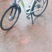 Bianchi Puch e Going
