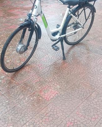 Bianchi Puch e Going