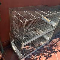 Gabbia da cova per parrocchetti