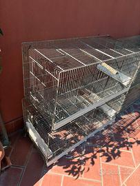 Gabbia da cova per parrocchetti