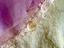 Immagine 4