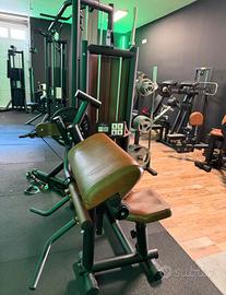 Biceps/Triceps Machine Visa Sport