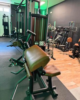 Biceps/Triceps Machine Visa Sport