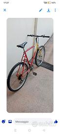 Bicicletta