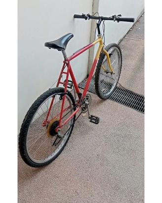 Bicicletta