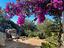 Immagine 24