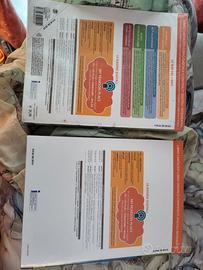 Le occasioni della letteratura Volume 2