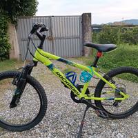 Bicicletta taglia 20