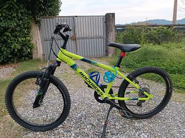 Bicicletta taglia 20