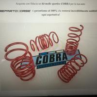 Molle Originali Fiat Abart 595 Cobra