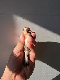 cardellino 