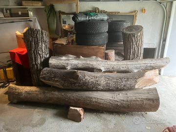 Tronchi di Noce Valdostano