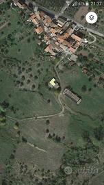 Tenuta agricola 22 ettari