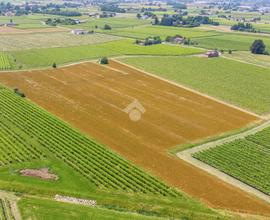 TER. AGRICOLO A REGGIO NELL'EMILIA