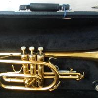 Cornetta KING 603 SiB