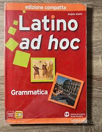 Latino ad hoc grammatica
