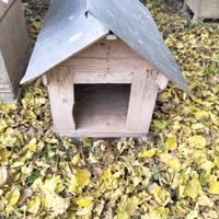 cuccia per cani taglia media 