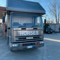 Van trasporto cavalli con living eurocargo