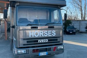 Van trasporto cavalli con living eurocargo