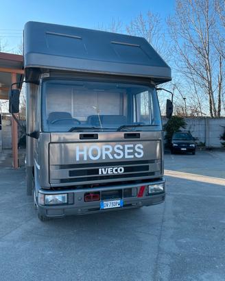Van trasporto cavalli con living eurocargo