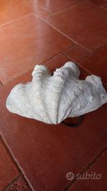 Conchiglia di Tridacna naturale, lunghezza cm 27