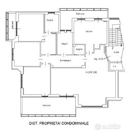 Monteverde Paola Falconieri