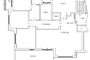 Monteverde Paola Falconieri