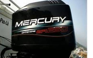 Mercury EFI 250 Tutti i Ricambi