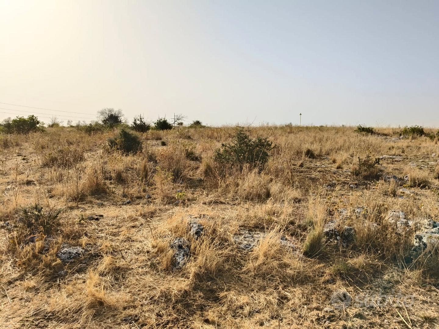 Terreno 1,7 ettari vicino al conforama di melilli - Vista 3