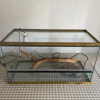 Terrario basso con roccia riscaldante