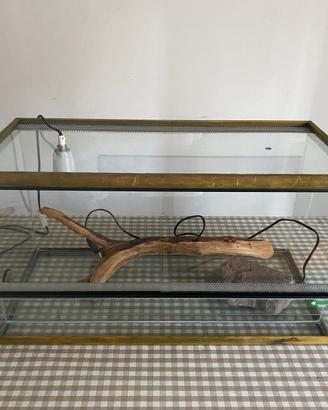Terrario basso con roccia riscaldante