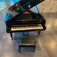 Pianoforte mezza coda petrof