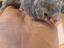 Immagine 5