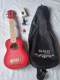 ukulele per scuola media 