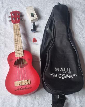 ukulele per scuola media 
