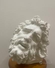 Testa in gesso