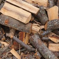 legna da ardere 