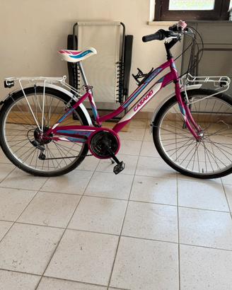 Bicicletta da passeggio
