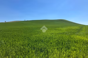 TERRENO A TORREMAGGIORE