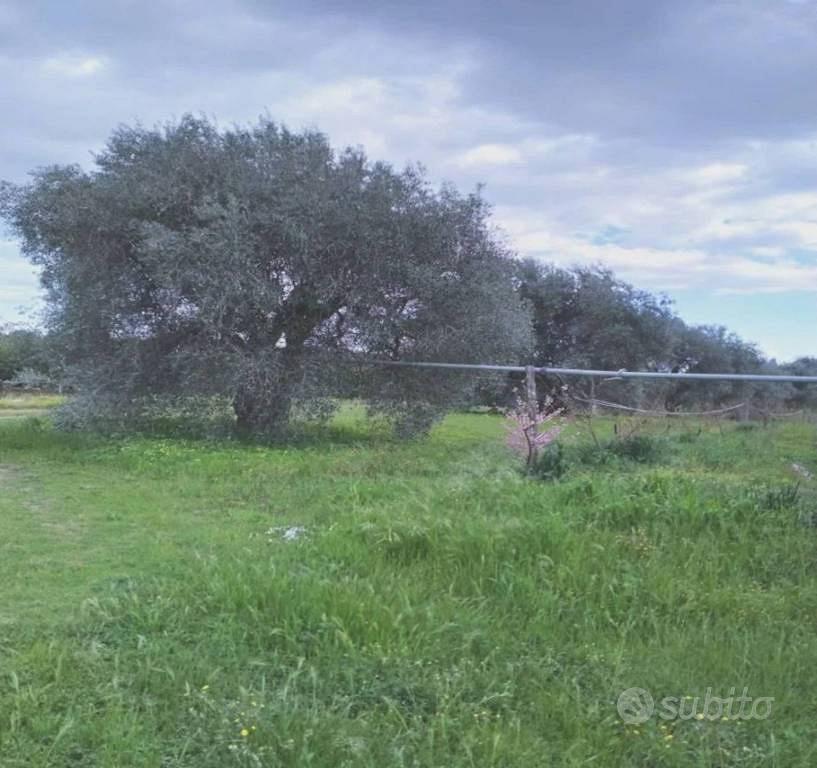 Immobile in asta di 35921 m² a Scanzano Jonico - Vista 2