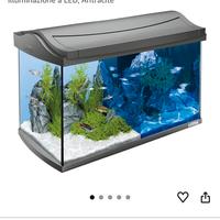 Acquario tetra 60L