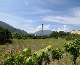 Terreno Agricolo Castel San Giorgio