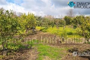 Terreno agricolo 14.000 mq a giarre