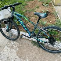 Mtb Bici 24”
